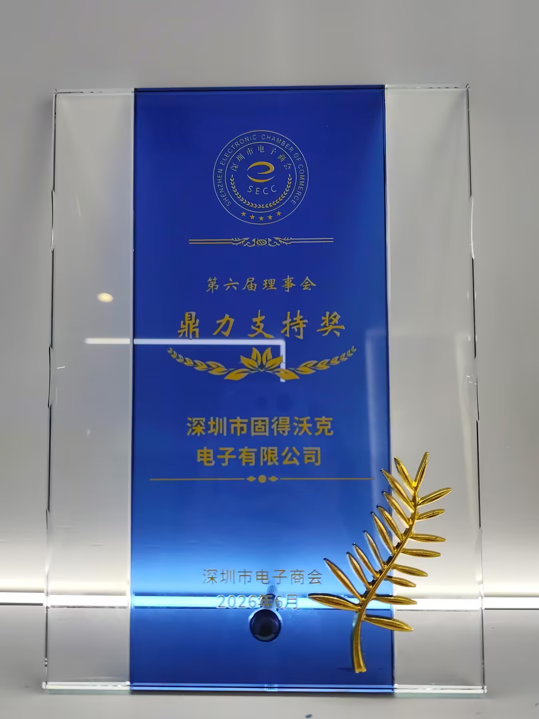 第六届理事会大力支持奖